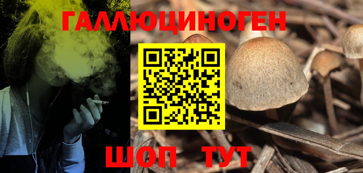 Красногорск  Галлюциногенные грибы прущие грибы  Вход с VPN  Галлюциногенные грибы прущие грибы 